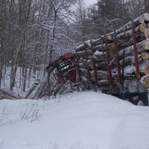 Logging trucks should stay of our forest roads