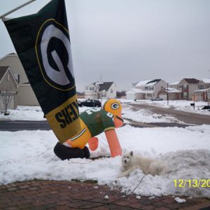 Go Pack Go