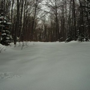 2010-12-16 Early season untouched powder...