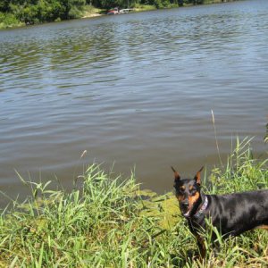 Hailey fishing