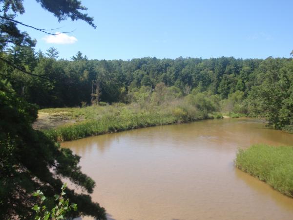 179 The Pine River 2010