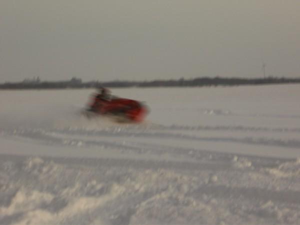 2008 sled pic (4)