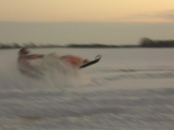 2008 sled pic (5)