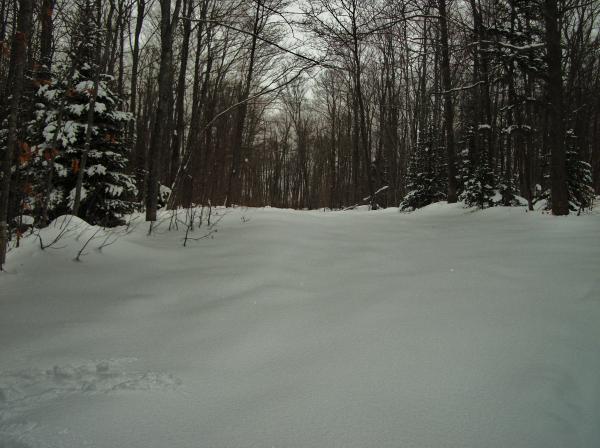 2010-12-16 Early season untouched powder...