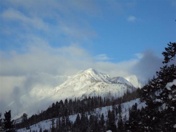 Cooke city mtns.