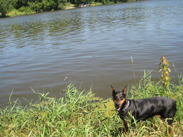 Hailey fishing