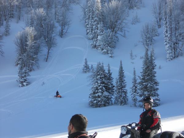 Hill climbs and Sled wrangling practice