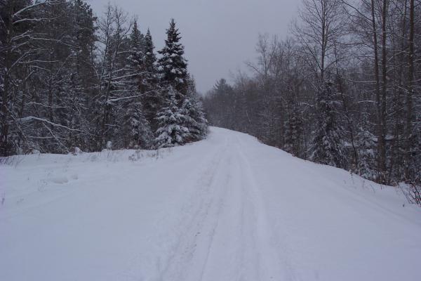 I love riding off trail