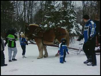 Jace next to horse