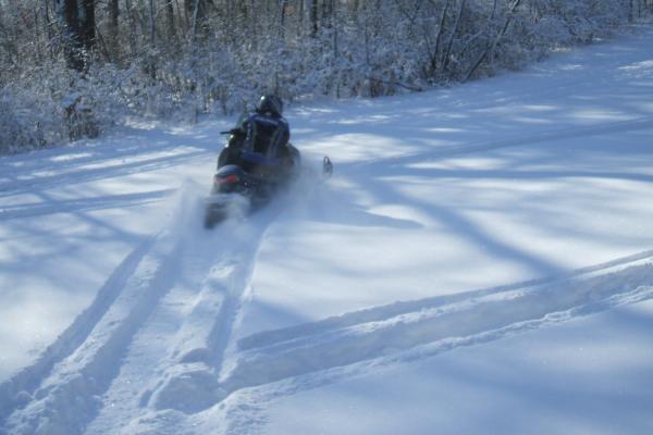 Jared carving