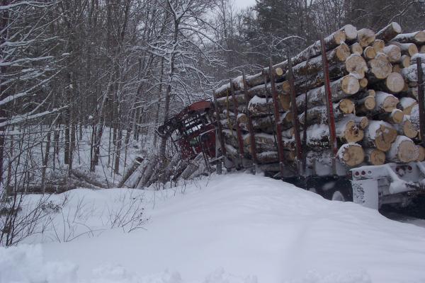 Logging trucks should stay of our forest roads