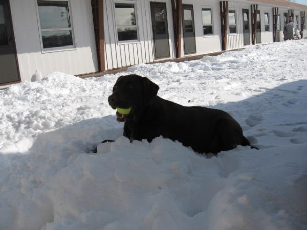 Lucy loves the snow too