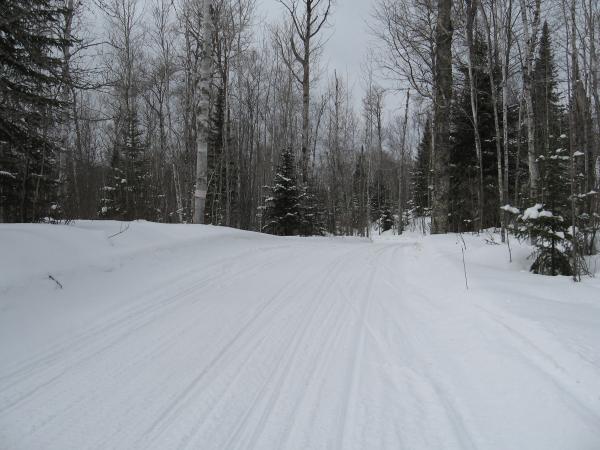 Moose Walk Trail