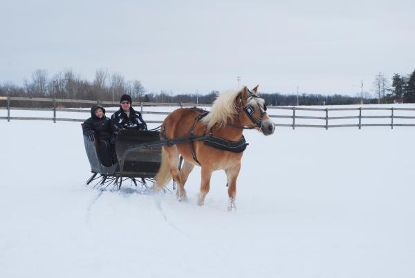 My other sled good on gas