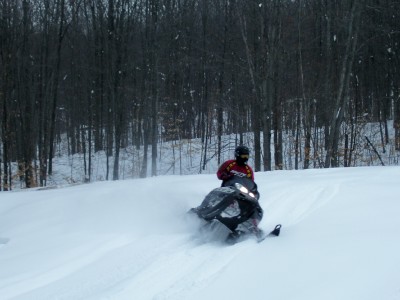 steve carving