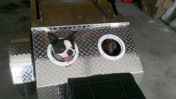 Teddy and Striker in their doggy hauler