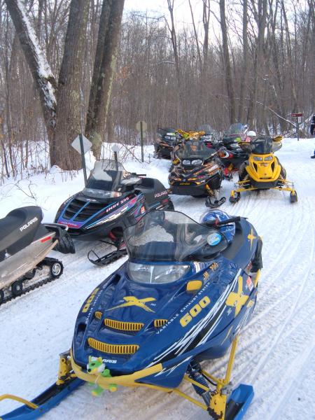 The sleds