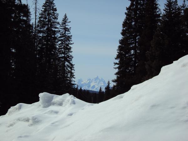 view from cabin window of Teton Mtns. at Togwotee 3/31/10